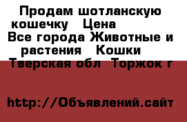 Продам шотланскую кошечку › Цена ­ 10 000 - Все города Животные и растения » Кошки   . Тверская обл.,Торжок г.